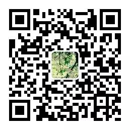 1461229130578028605.jpg