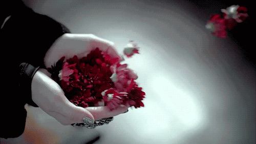 tumblr_n0r9t3UNWU1t5l25vo1_500.gif