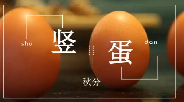 蛋.png