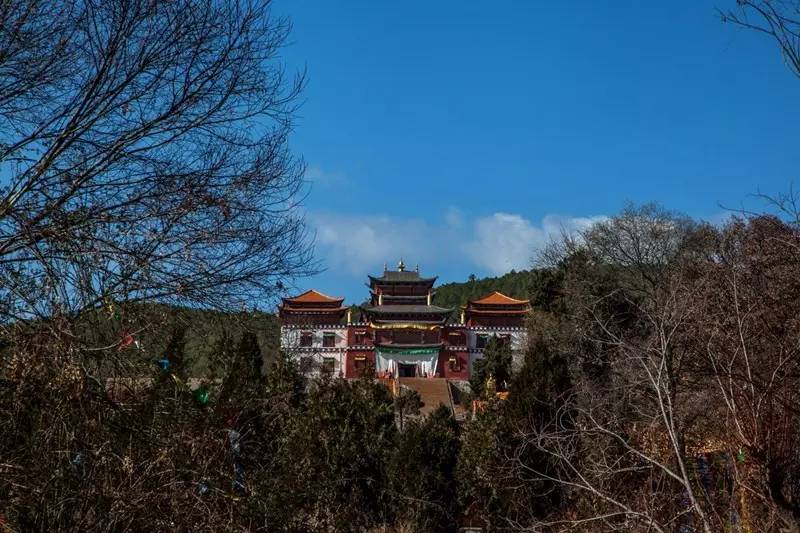 莲花殿1.jpg