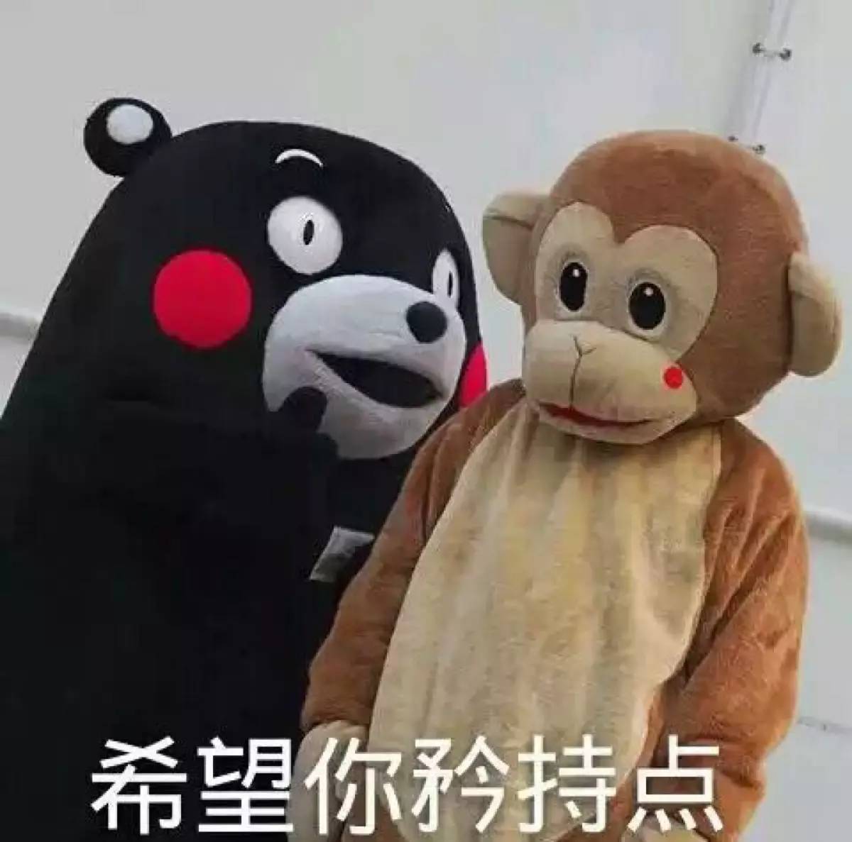 20150923091853_y3C4P.jpeg