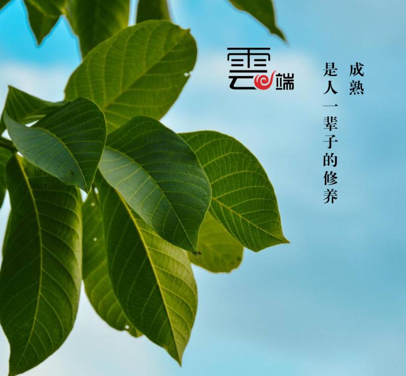 默认标题--设计创建于创客贴 (2).png