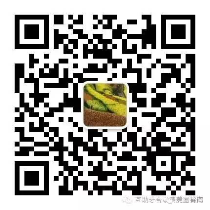 615200.jpg